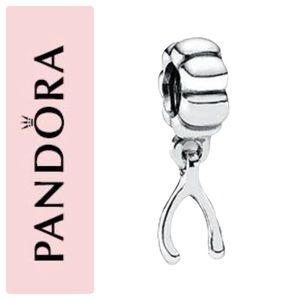 Wishbone Pandrora Charm